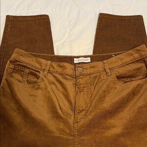 LOFT women’s Gold brown slim Corduroy pants 14